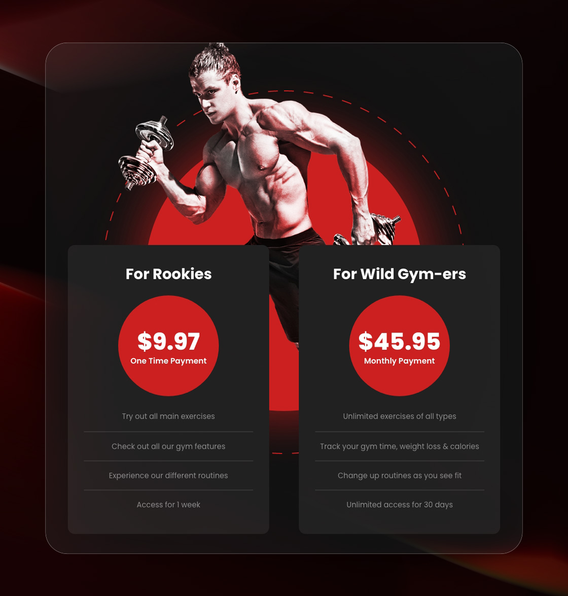 abdulshamee portfolio image