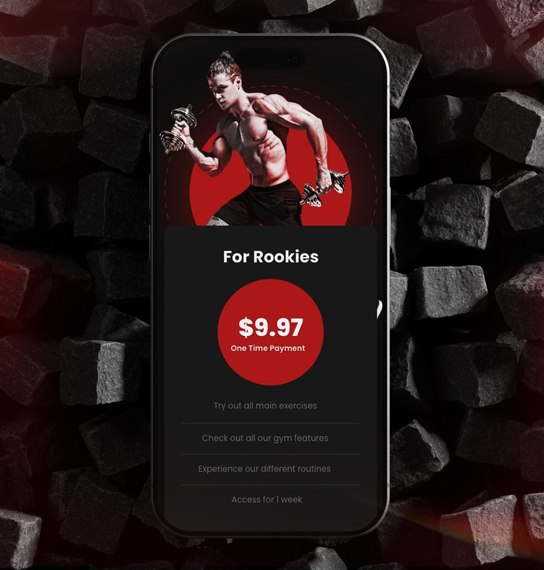 abdulshamee portfolio image